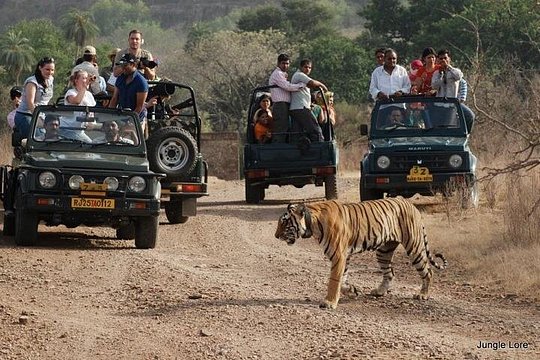 Tour image 1